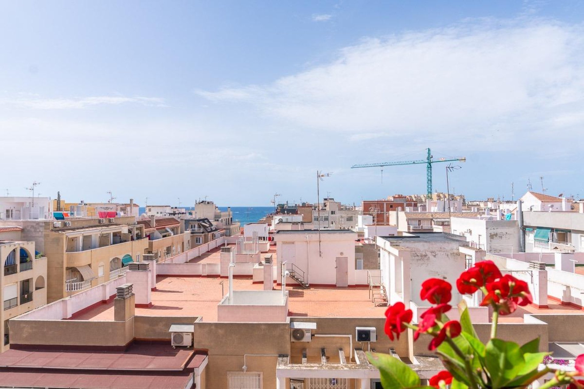 Wiederverkauf - Wohnung - Torrevieja