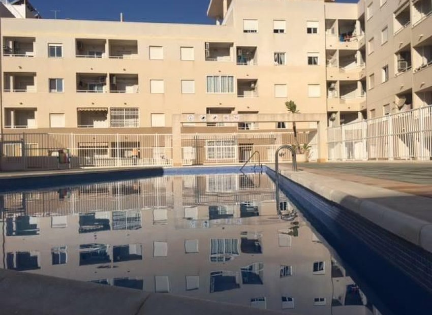 Wiederverkauf - Wohnung - Torrevieja