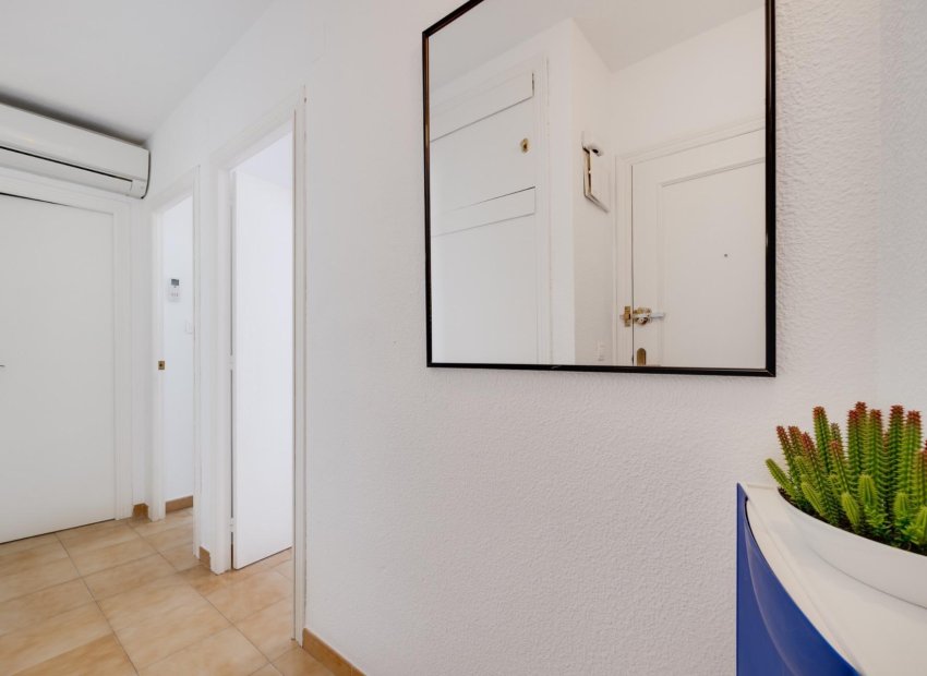 Wiederverkauf - Wohnung - Torrevieja