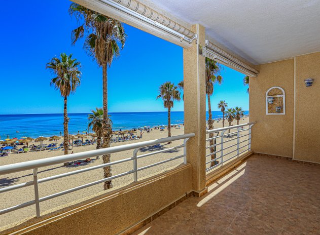 Wohnung - Wiederverkauf - La Mata - La Mata