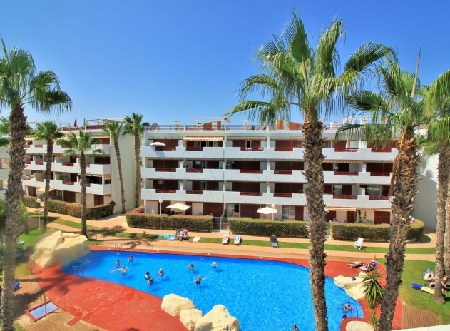 Wohnung - Wiederverkauf - Playa Flamenca - Playa Flamenca