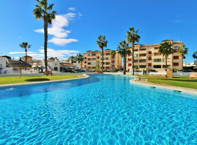 Wohnung - Wiederverkauf - Playa Flamenca - Playa Flamenca