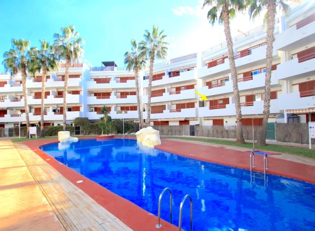 Wohnung - Wiederverkauf - Playa Flamenca - Playa Flamenca