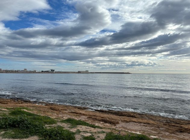 Wohnung - Wiederverkauf - Torrevieja - Acequion
