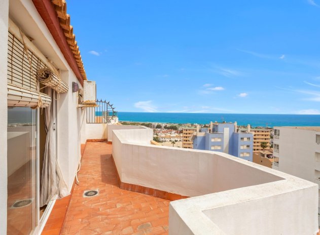 Wohnung - Wiederverkauf - Torrevieja - DSC-88109