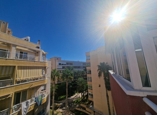 Wohnung - Wiederverkauf - Torrevieja - Habaneras