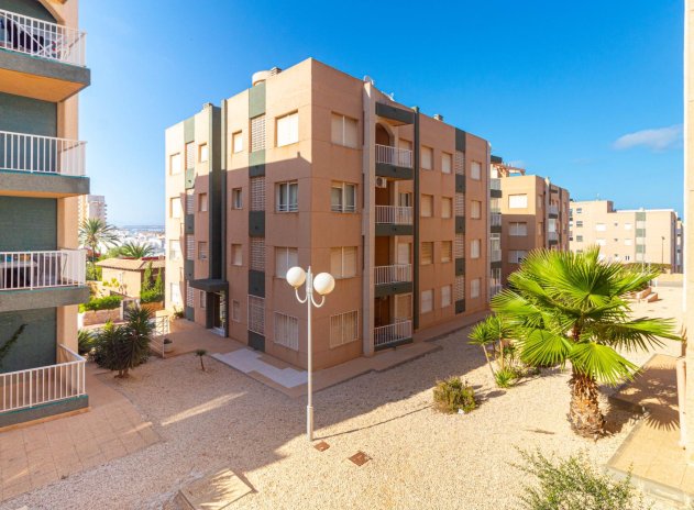 Wohnung - Wiederverkauf - Torrevieja - La Mata