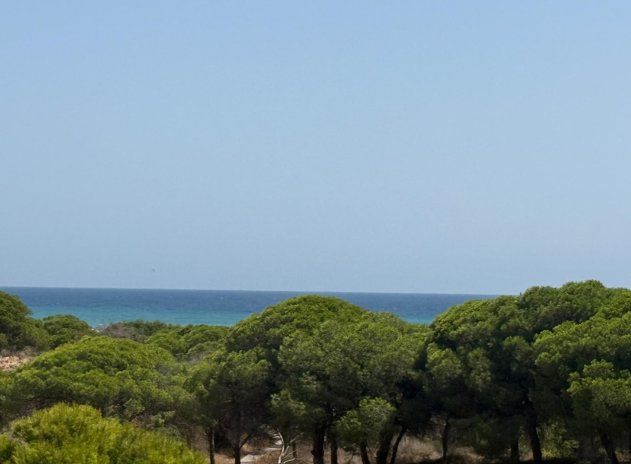 Wohnung - Wiederverkauf - Torrevieja - La Mata