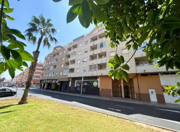 Wohnung - Wiederverkauf - Torrevieja - Torrevieja