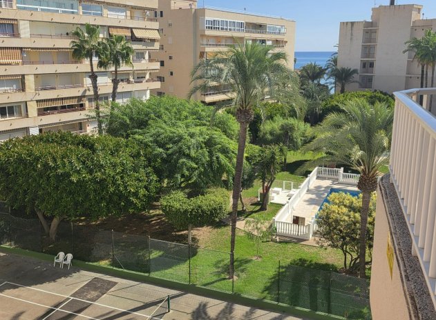 Wohnung - Wiederverkauf - Torrevieja - Torrevieja