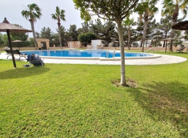 Resale - House - Torrevieja* - Los Altos*