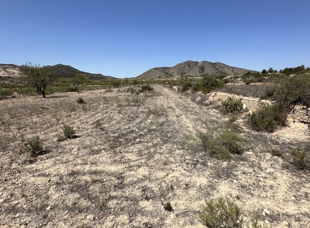 Wiederverkauf - Villa - Hondón de las Nieves