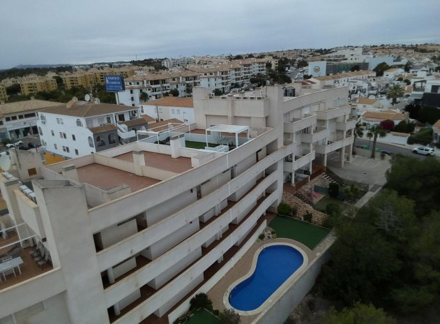 Obra nueva - Apartamento / piso - Orihuela Costa - PAU 8