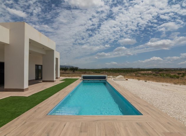 Obra nueva - Villa - Pinoso - Campo