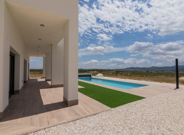 Nouvelle construction - Villa - Pinoso - Campo