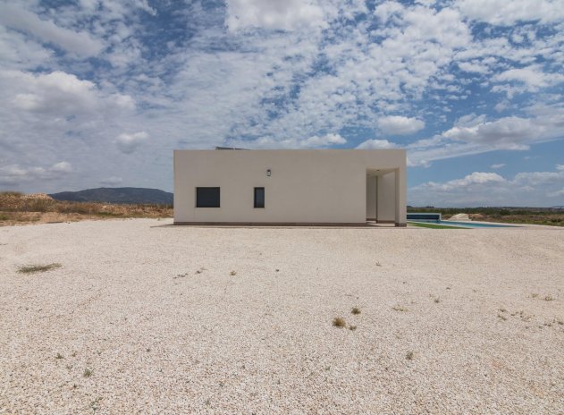 Obra nueva - Villa - Pinoso - Campo