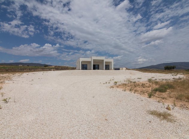 Obra nueva - Villa - Pinoso - Campo