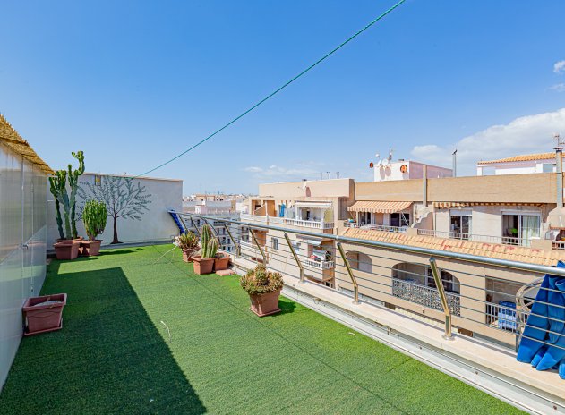 Resale - Penthouse - Torrevieja - Beach