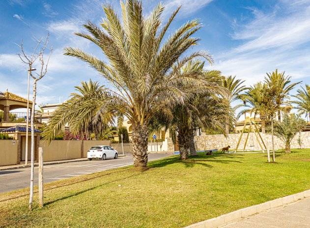 Wiederverkauf - Villa - La Zenia - Beachside