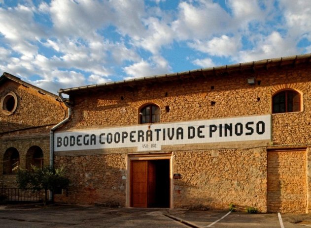 Obra nueva - Villa - Pinoso - Campo