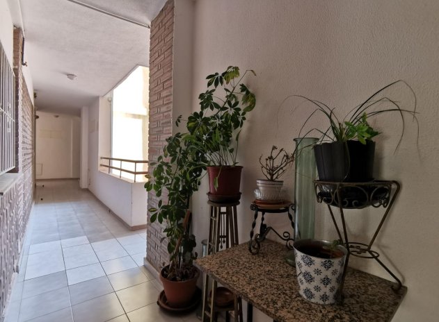 Revente - Appartement - Torrevieja - Estacion de autobuses