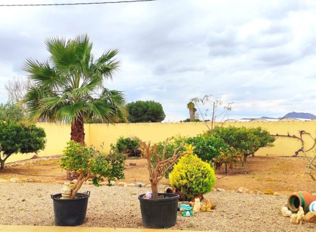 Wiederverkauf - House - Finca - Cortijo - San Javier - Costa Calida