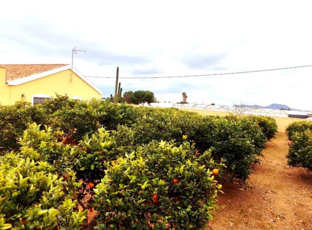 Wiederverkauf - House - Finca - Cortijo - San Javier - Costa Calida