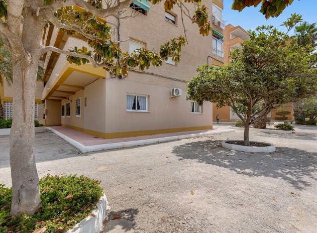 Resale - Apartment / flat - Guardamar del Segura - Pinomar