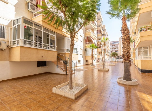 Reventa - Apartamento / piso - Torrevieja - Estacion de autobuses