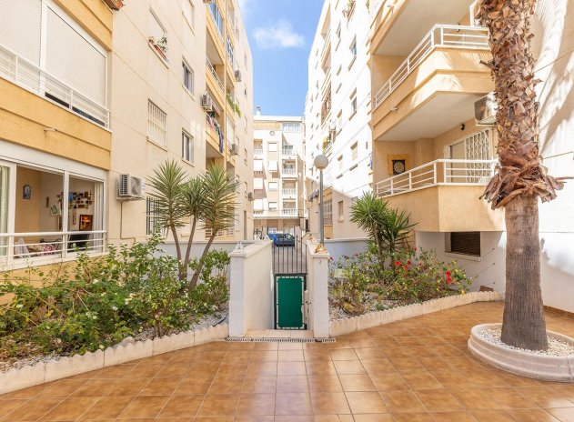 Resale - Apartment / flat - Torrevieja - Estacion de autobuses