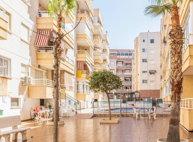 Wiederverkauf - Wohnung - Torrevieja - Estacion de autobuses