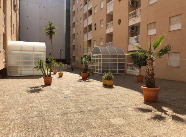 Herverkoop - Appartement / flat - Torrevieja - Estacion de autobuses