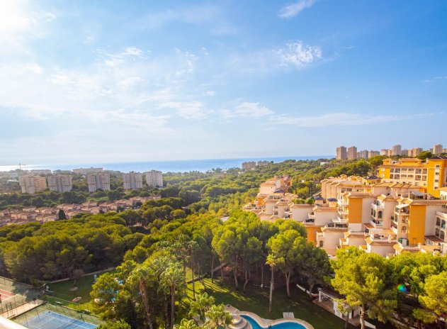 Wiederverkauf - Wohnung - Orihuela Costa - Altos de Campoamor