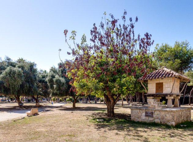 Wiederverkauf - Wohnung - Torrevieja - Playa del Acequión