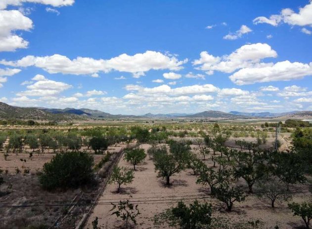 Wiederverkauf - Terrassenhaus - Casas del Señor