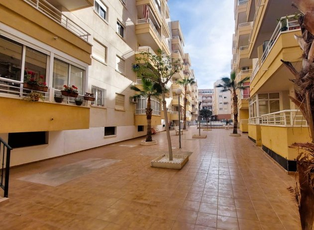 Revente - Appartement - Torrevieja - Center