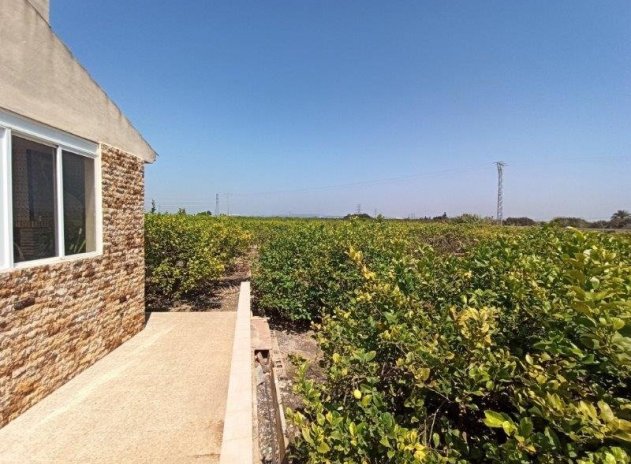 Revente - Country Property - San Miguel de Salinas - san miguel