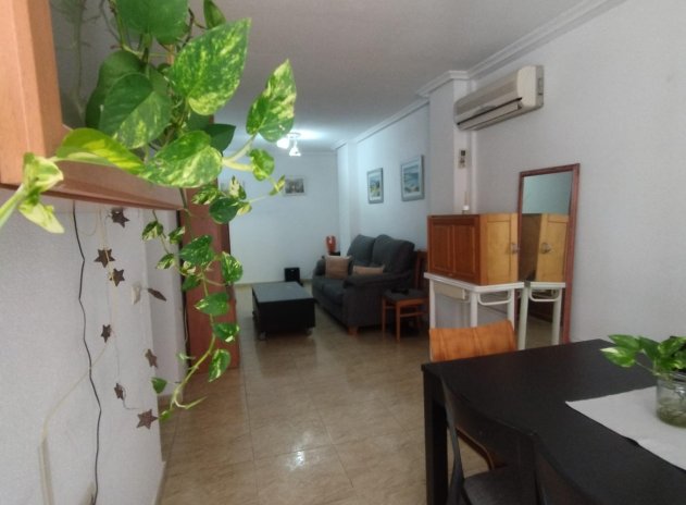 Reventa - Apartamento / piso - Torrevieja - Estacion de autobuses