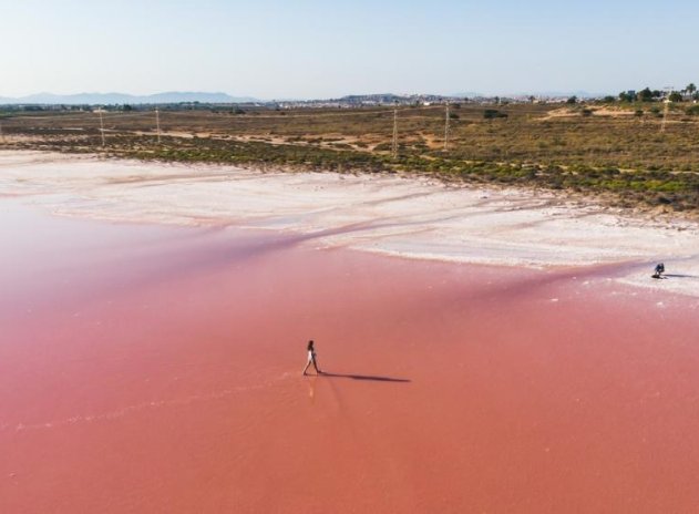 Obra nueva - Ático - Torrevieja - Habaneras