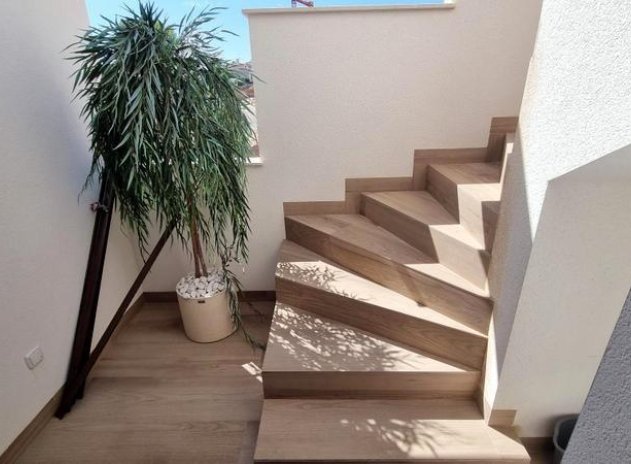 Nouvelle construction - Bungalow - Torrevieja - Eliseos playa