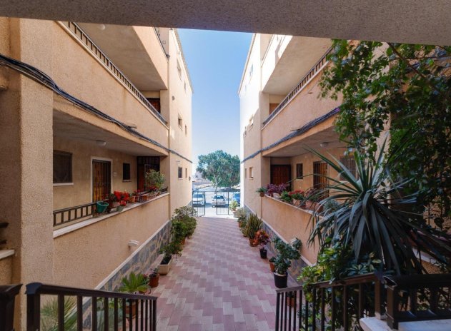 Revente - Appartement - Torrevieja - Torretas