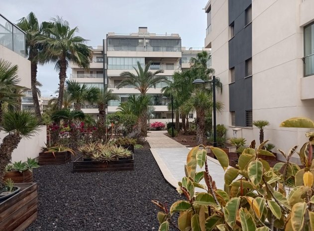 Revente - Appartement - Orihuela Costa - La Zenia