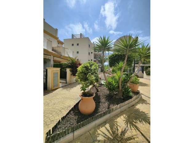 Herverkoop - Appartement / flat - Orihuela Costa - Campoamor