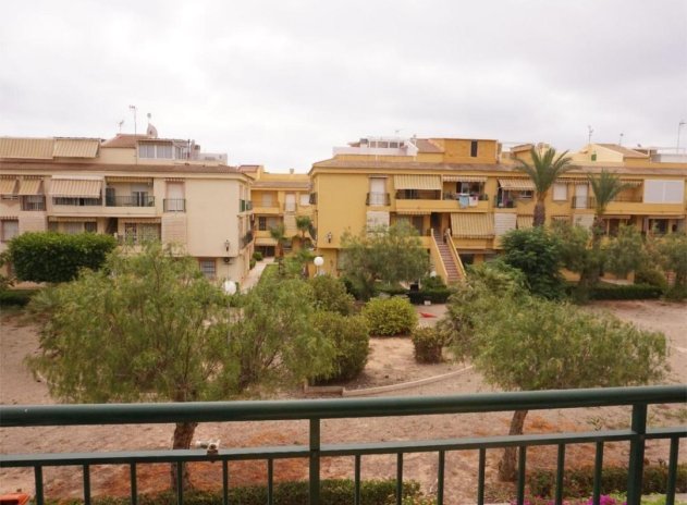 Revente - Appartement - Torrevieja - Parque las naciones