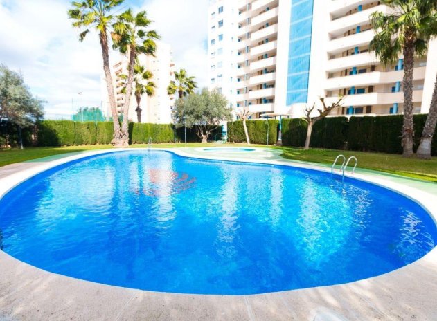 Revente - Appartement - Guardamar del Segura - CENTRO