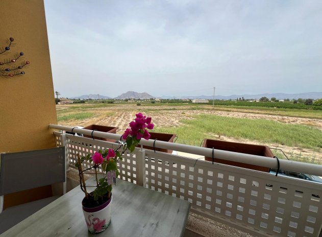 Revente - Appartement - Almoradi - Almoradí