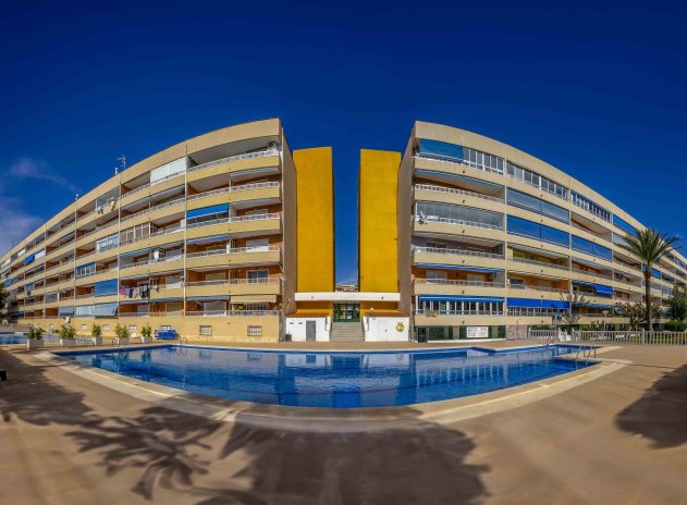 Herverkoop - Appartement / flat - Punta Prima - El Acequión