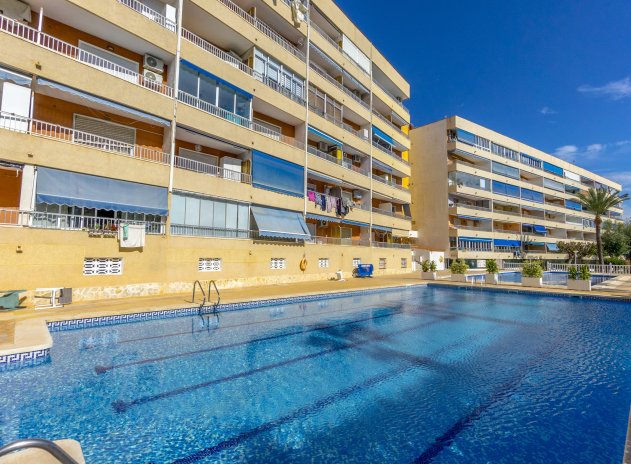 Herverkoop - Appartement / flat - Punta Prima - El Acequión