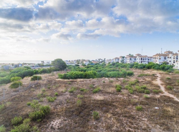 Neue Gebäude - Wohnung - Orihuela Costa - Playa Flamenca