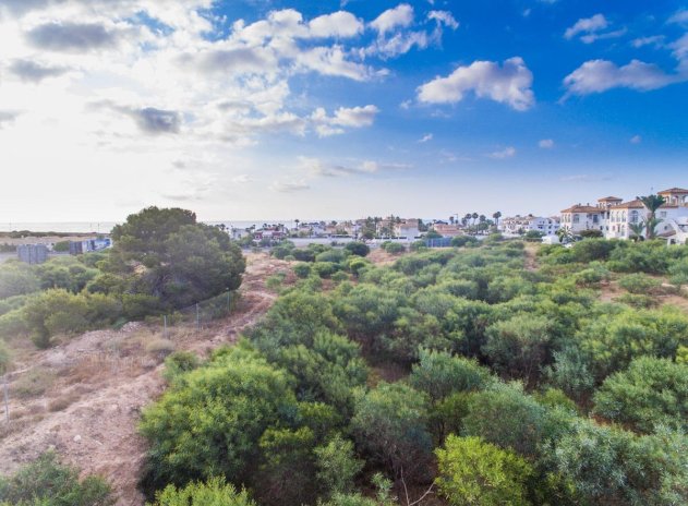 Neue Gebäude - Wohnung - Orihuela Costa - Playa Flamenca